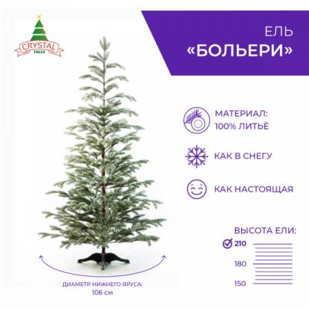 Ель БОЛЬЕРИ в снегу