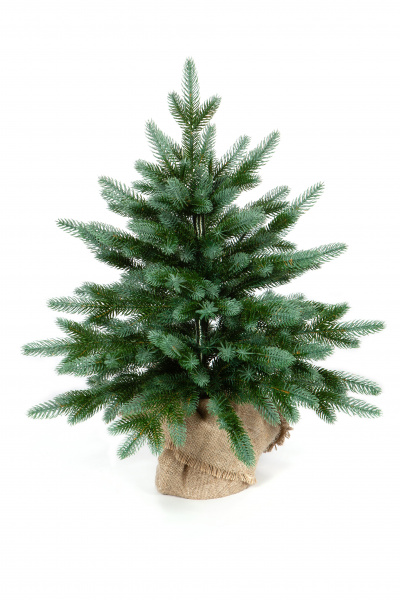 Ель ИЗУМРУДНАЯ ЭДИТ 60 см