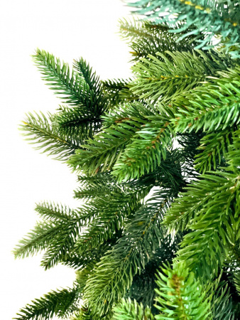 Ель ПАРИЖСКАЯ НОЧЬ