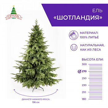 Ель ШОТЛАНДИЯ 250 см. НЕ ИСП