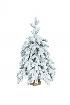 Ель ЭМИЛИ зеленая в снегу 60 см