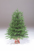 Ель Изумрудная 90 см