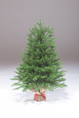 Ель Изумрудная 90 см