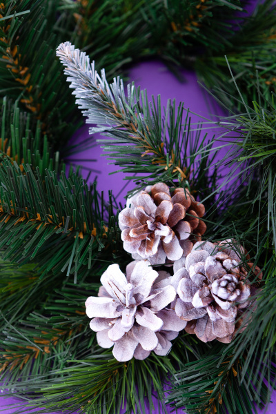 Венок АРИЯ с шишками