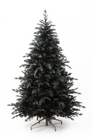 Ель ЗВЕЗДНАЯ РОССЫПЬ