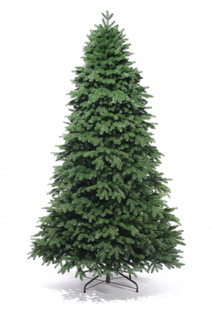 Ель Сибирская 185 см