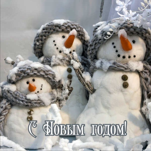 Ограждение для СТВОЛЬНОЙ ели