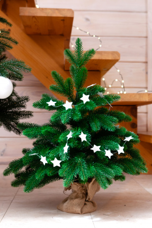 Ель БЕРМИНГЕМ