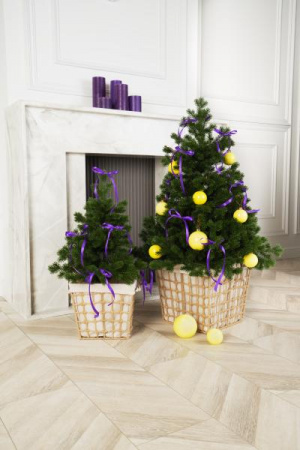 Ель МЕТЕЛИЦА 90 см