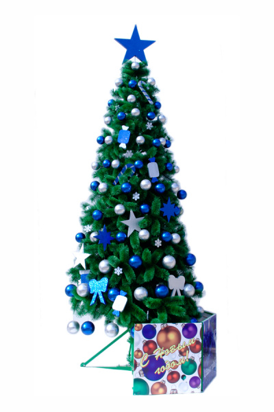 Сосна ствольная "Виктория" хвоя-леска Стандарт Сосна ствольная "Виктория" хвоя-леска Стандарт