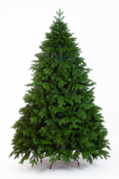 Ель БЕРМИНГЕМ