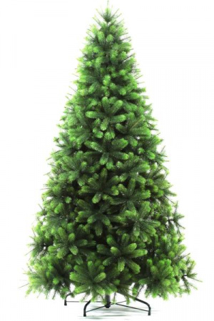 Сосна ШВЕЙЦАРСКАЯ 150 см