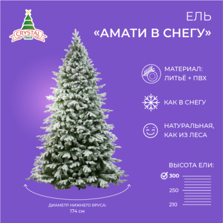 Ель АМАТИ в снегу