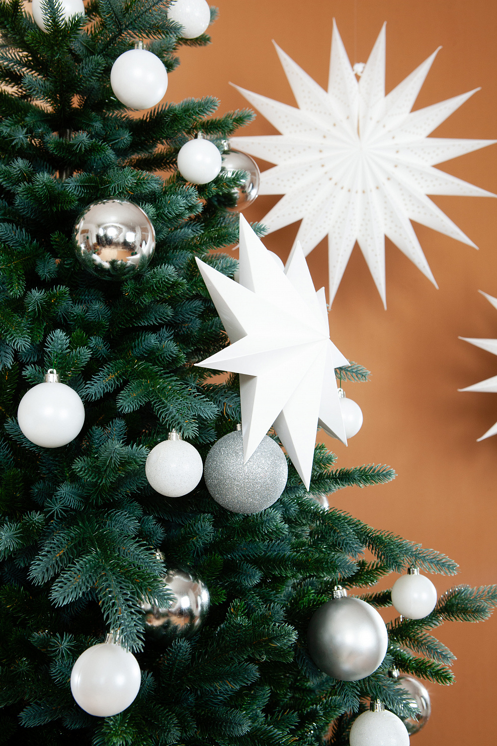 Ель ИЗУМРУДНАЯ ЭДИТ