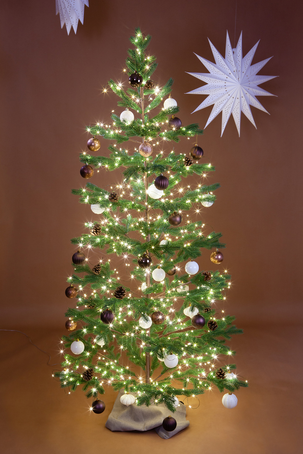 Ель БОРГО зеленая с шишками