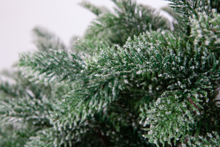 Ель ВИСКРИ заснеженная