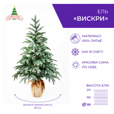 Ель ВИСКРИ заснеженная в мешке  150 см