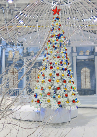 Сосна ствольная  хвоя-леска "Люкс"