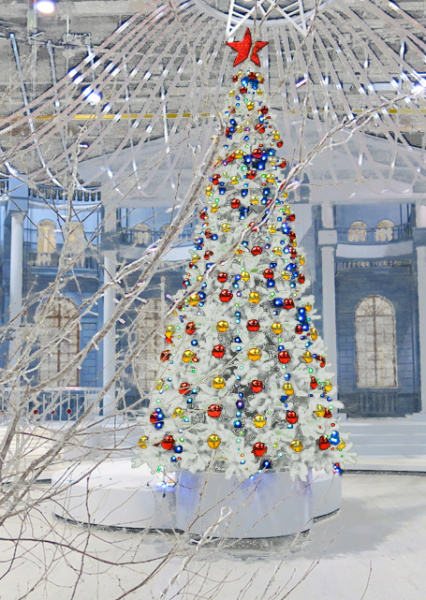 Сосна ствольная  хвоя-леска "Люкс"